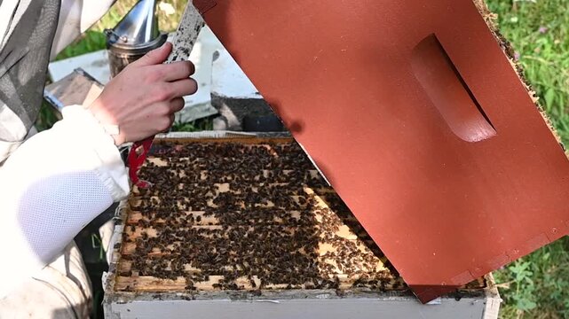 Beekeeper pointing at underside of brood box with hive tool