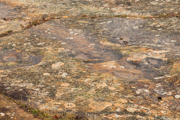 Iguanodon footprints walking on rock. Ichnite site in Regumiel de la Sierra