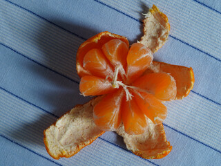 Closeup of whole peeled clementine with loosen segments on blue cloth
