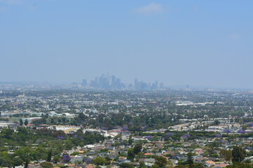 City Skyline Viewed From a Hillside on a Clear Day With Lush Greenery in the Foreground