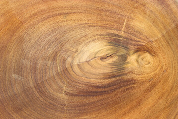 brown wooden texture