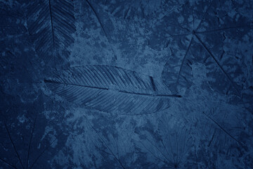 Beautiful Abstract Grunge