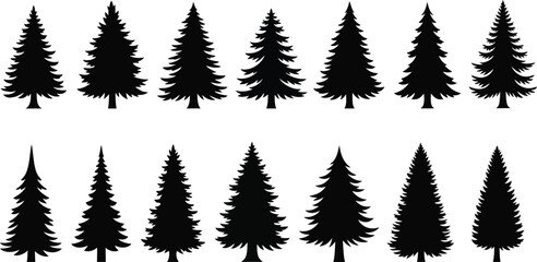 A collection of silhouetted evergreen trees in various shapes and sizes