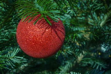 Red Christmas ball on a blurred green background
