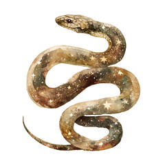 A muted watercolor snake wrapped in stars vintage earth tones handpainted watercolor texture no shadow