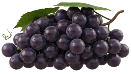 A vibrant bunch of purple grapes with green leaves on white background for healthy eating and wine making
