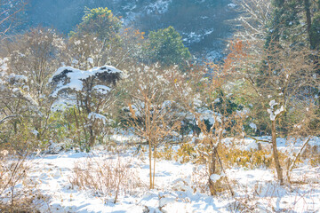 耶馬渓の雪景色（大分県中津市耶馬渓）
