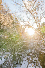 耶馬渓の雪景色（大分県中津市耶馬渓）
