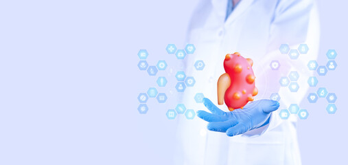A urologist displays a kidney with cysts and medical icons. Concept of kidney health awareness, early diagnosis, and prevention of polycystic kidney disease. Isolated doctor