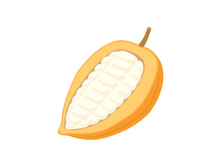 カカオの実・カカオポッドとカカオパルプをイメージしたイラスト