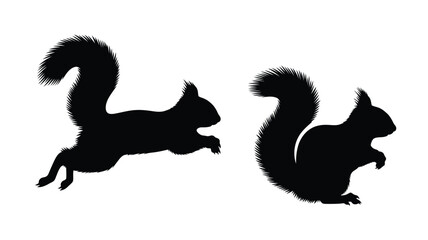 Two playful squirrels in dynamic poses a striking black silhouette © inhrvect