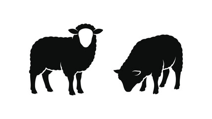Two sheep in a field one grazing presented as a bold silhouette