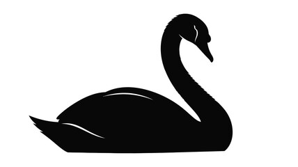Elegant swan gracefully swimming a striking black form silhouette
