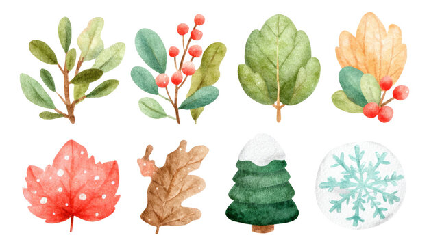 Fototapeta Elegant Watercolor Leaves and Sprigs for Nature-Themed Illustrations and Designs