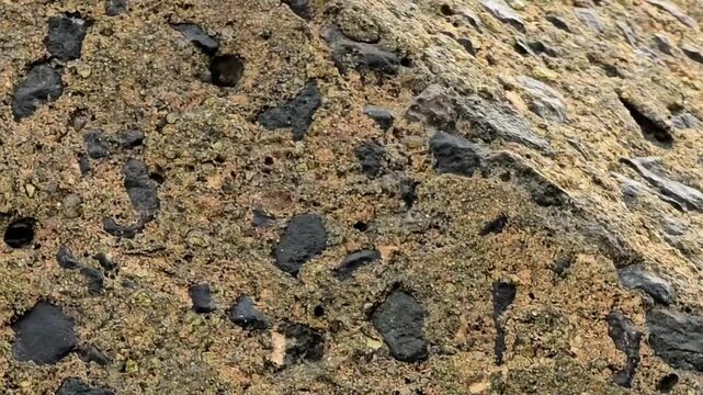 A detailed shot showing the rough and weathered texture of a coastal cliff or rock formation. The surface is composed of embedded black volcanic stones, grainy sand, and dried marine algae, showcasing