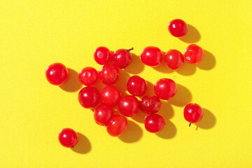 Heap of fresh viburnum berries on yellow background, closeup