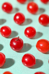 Composition with fresh viburnum berries on mint background, closeup