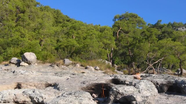 Antalya, &Ccedil;ıralı: Yanartaş (Chimera) in Olympos National Park. A natural methane gas flame that emerges from the rocky slope without extinguishing. A legendary and geological natural beauty.