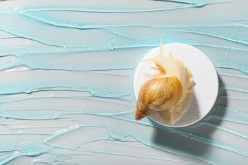 Jar of cosmetic product, giant Achatina snail and texture of cosmetic gel on white background, closeup © Pixel-Shot