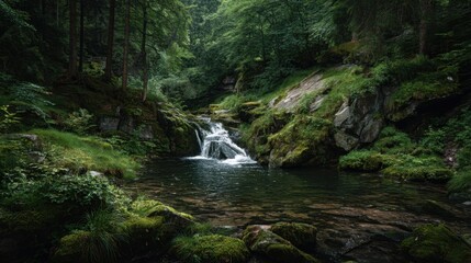 A small stream of water flows through a lush green forest. The water is crystal clear and the surrounding vegetation is dense and green. The scene is peaceful and serene, with the sound of the water