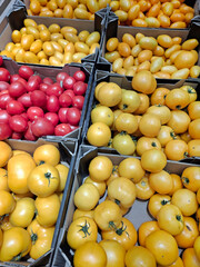 Yellow and red tomatoes. Fresh vegetables at grocery shop