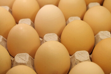 Fresh yellow chicken eggs in tray