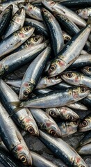 A bountiful display of fresh raw sardines with shimmering silver and blue scales is tightly packed together on a bed of ice, ready for culinary use.