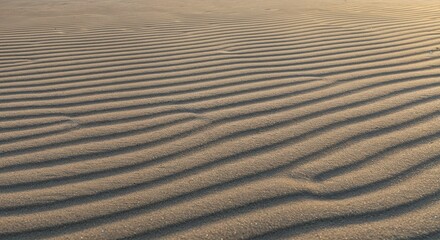 Delicate natural wind ripples on fine beige beach sand form an abstract pattern, beautifully textured and illuminated by warm golden hour sunlight with deep shadows.