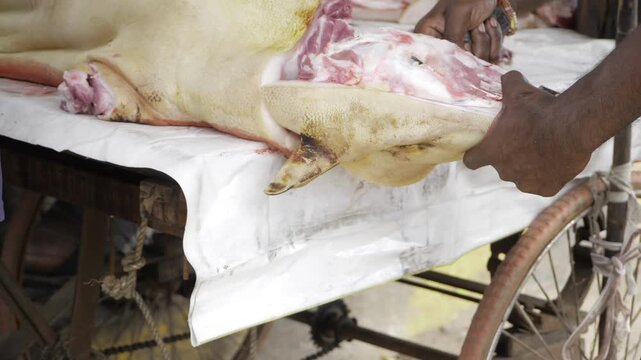Efficient Meat Prep  Mastering the Art of Cutting with Precision