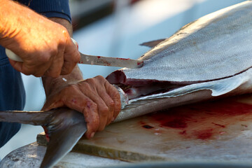 Pierside Precision: Fishermen Fillet Fresh Catch After Deep-Sea Adventure © Grindstone Media