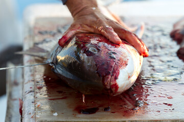 Pierside Precision: Fishermen Fillet Fresh Catch After Deep-Sea Adventure © Grindstone Media