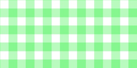 Light green gingham pattern with rectangular checks, soft pastel color, seamless background suitable for textile prints, wrapping paper, stationery, branding, and digital design use