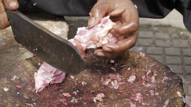 Mastery of the Art  Hand at Work in the Culinary World