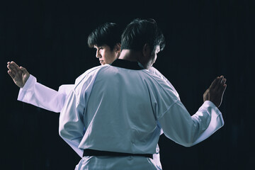Two male martial artists practicing synchronized Taekwondo forms in traditional white uniforms on a...