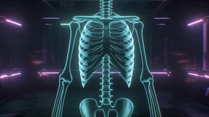 Futuristic Holographic X-ray Display of Human Skeleton in Sci-Fi Lab with Neon Lights - Powered by Adobe