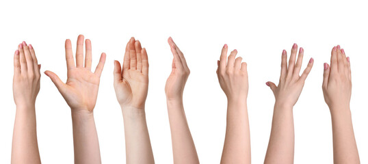 Female hands isolated on white, collection of photos