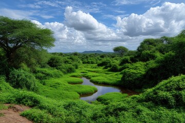 Lush green landscape with a meandering stream under a partly cloudy sky