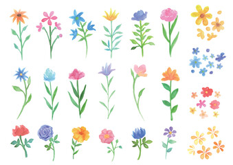 Watercolor Hand Drawn Flowers and Botanical Illustration Vector Set