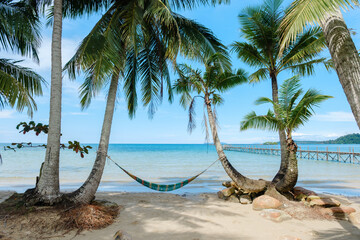 Relaxing hammock between palm trees on Koh Kood Island in Thailands tropical paradise