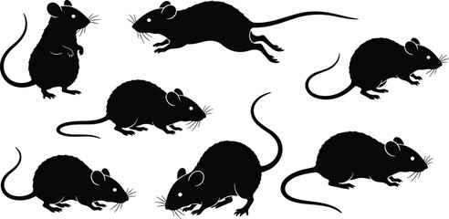 Collection of wild grizzly bear silhouettes in different standing, walking, and sitting poses, black vector illustration set for wildlife and nature concepts.