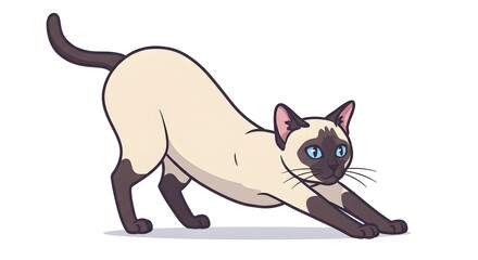 An animated Siamese cat stretches with its rear up and paws forward on a white background