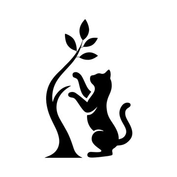 A cat is climbing a tree