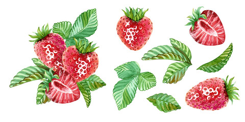 A composition of strawberries and green leaves, and strawberries and leaves separately, to create your own similar design or a children's game. Hand drawn watercolor illustration. Summer red berries