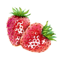 Composition of juicy, ripe strawberries. Whole red berries with green leaves on top. Vegan, healthy, vitamin-rich. Diet dessert. Hand drawn watercolor illustration. Single isolated object