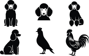 Poodle dog silhouette vector, sitting and standing poses, pigeon and rooster side view, black animal shapes for design and education