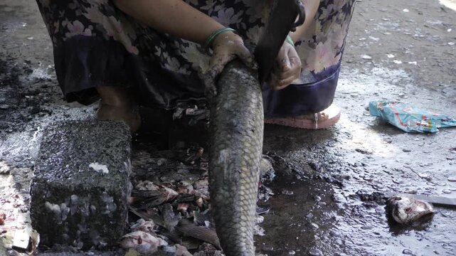 Fishing for the Best  A Closeup Look at Fish Preparation
