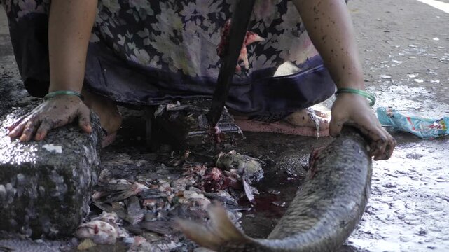 Raw and Gritty  The Shocking Truth of Fish Cutting