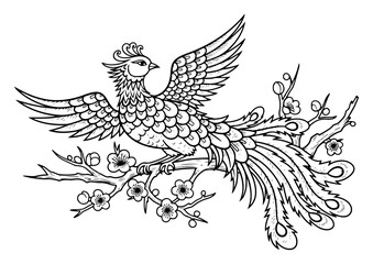 Obraz premium Detailed linear drawing of a mythical phoenix bird sitting on a blossoming tree branch