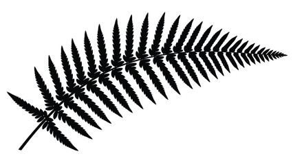A detailed black and white illustration of a single fern frond