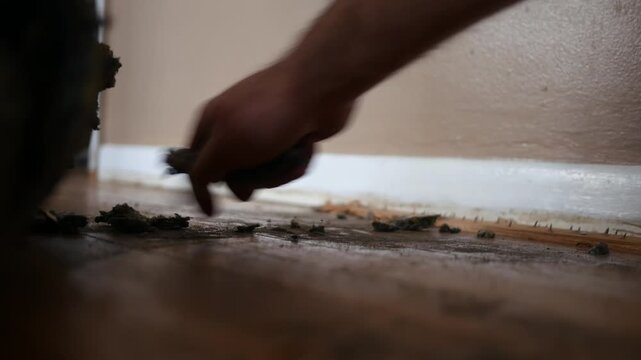 Carpet Removal Series - Man pulls padding off staples